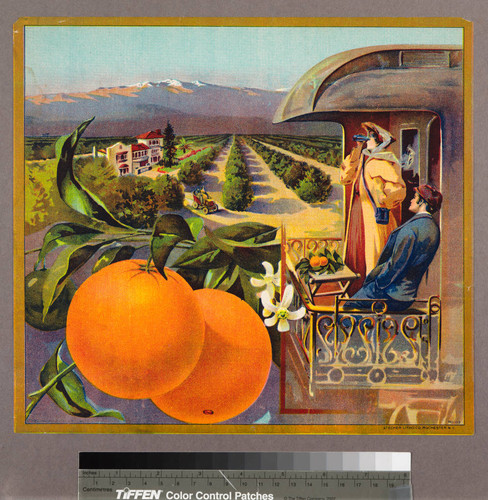 Stock label: oranges with man and woman on train caboose passing groves