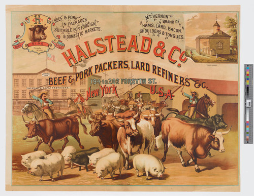 Halstead & Co. beef & pork packers, lard refiners & c