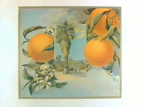 Stock label: oranges, leaves, blossoms, and vignette of palm with wishing well