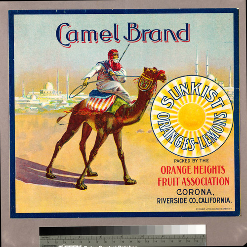 Camel Brand