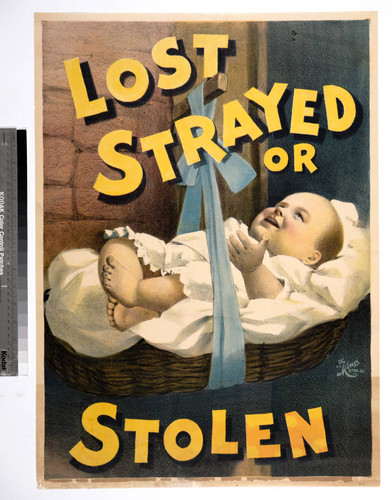 Lost, strayed or stolen