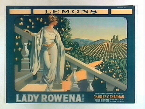 Lady Rowena Brand