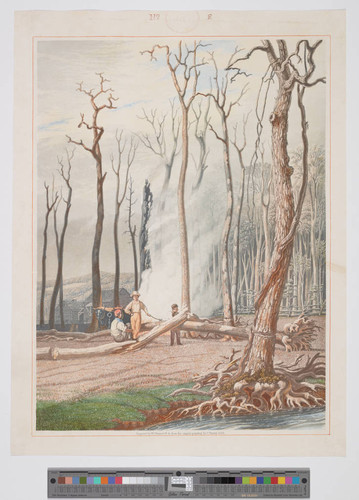 Spring no. 2 : Burning fallen trees in a girdled clearing. Western scene