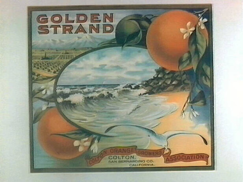 Golden Strand