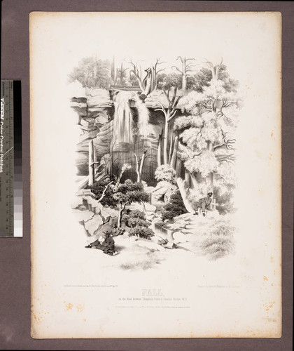 Fall, : on the road between Tompkin's Farm & Gauley Bridge W.V