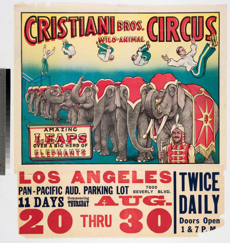 Cristiani Bros. Wild-Animal Circus : amazing leaps over a big herd of elephants