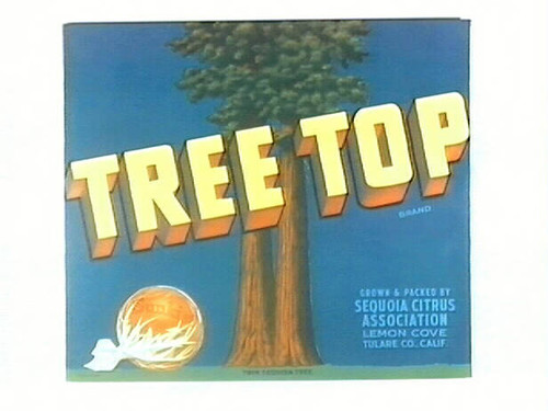 Tree Top Brand