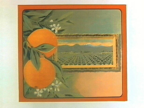 Stock label: oranges with framed picture of orchard and mountains