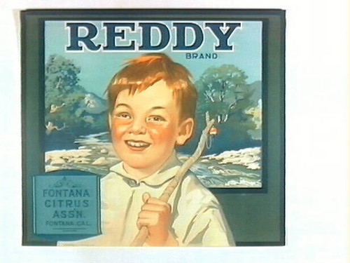 Reddy Brand