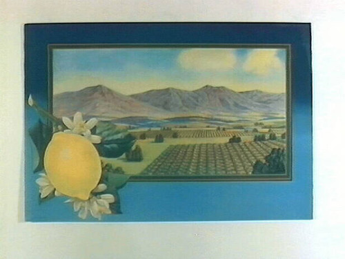 Stock label: lemon on branch with framed landscape of lemon groves and mountains