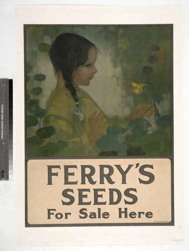 Ferry's seeds for sale here
