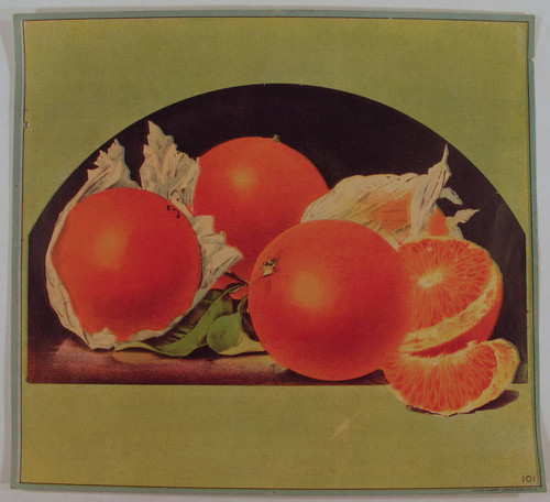 Stock label: oranges unwrapped with peeled oranges slices