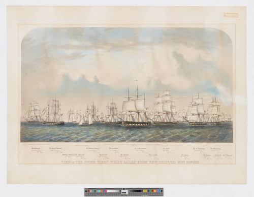 View of the Stone Fleet which sailed from New Bedford Nov. 16th. 1861