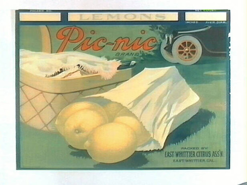 Pic-nic Brand