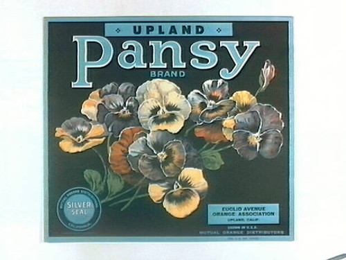 Pansy Brand