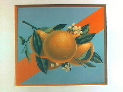 Stock label: oranges and blossoms on branch with red sash