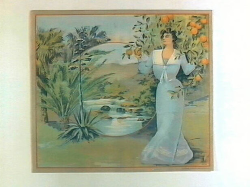 Stock label: woman in dress picking an orange with palms, yucca And waterfall