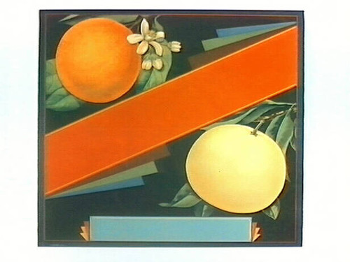 Stock label: orange and grapefruit on branches with blossoms