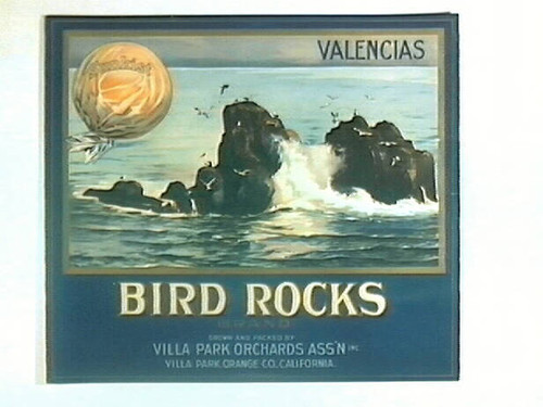 Bird Rocks Brand