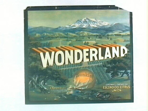 Wonderland