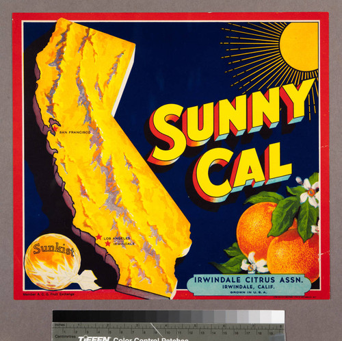 Sunny Cal