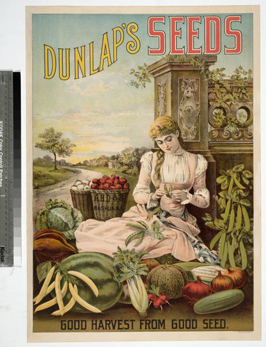 Dunlap’s Seeds : Good harvest from good seed