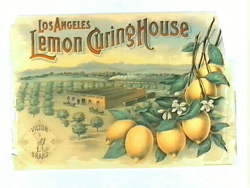 Los Angeles Lemon Curing House