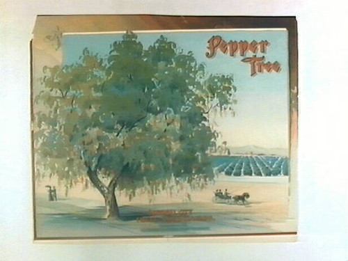 Pepper Tree