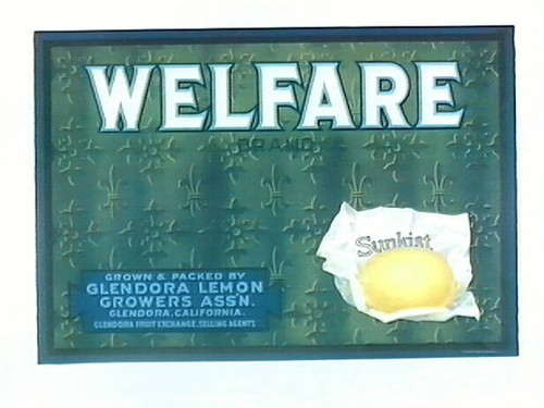 Welfare Brand