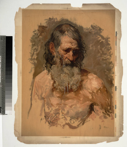 [Study of an old man]