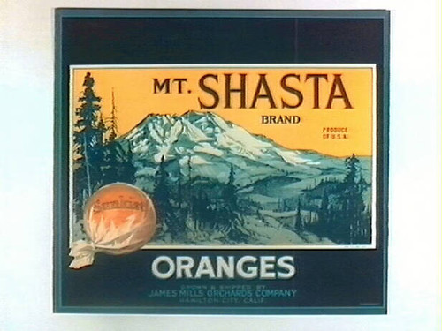 Mt. Shasta Brand