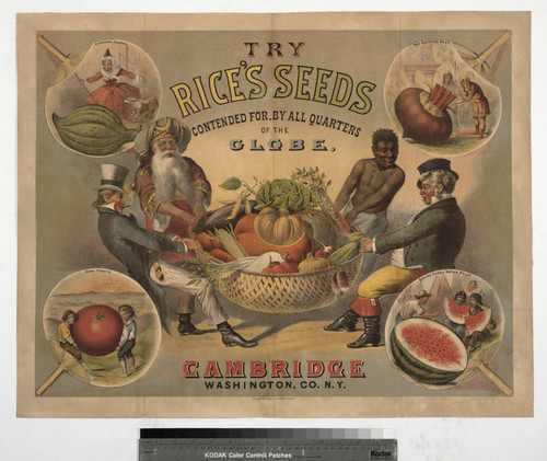 Try Rice's seeds contended for, by all quarters of the globe : Cambridge Washington, Co. N.Y