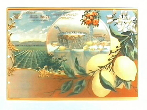 Stock label: lemons on branch, table with punch bowl, lemon groves