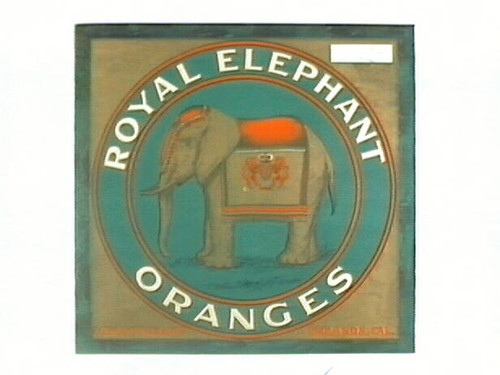 Royal Elephant