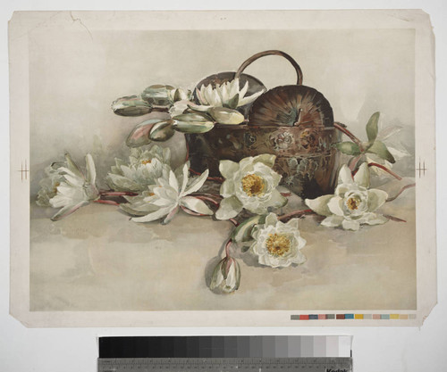 [Water lilies and basket]