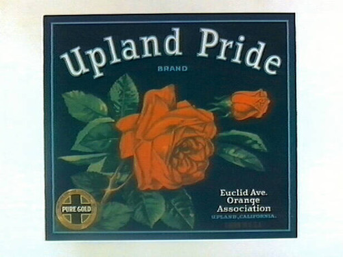 Upland Pride Brand