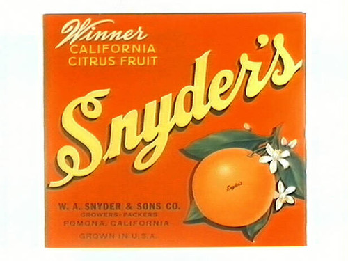 Snyder's