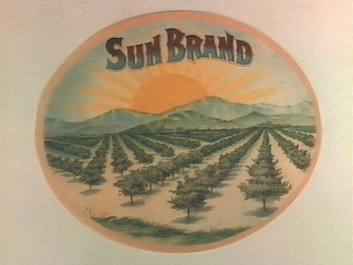 Sun Brand