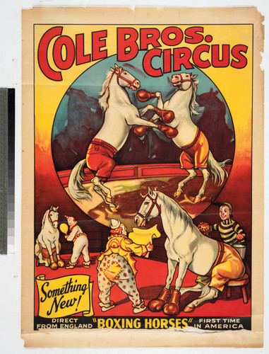 Cole Bros. Circus : something new! direct from England "boxing horses" first time in America