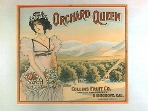 Orchard Queen