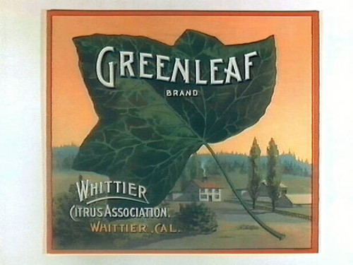 Greenleaf Brand