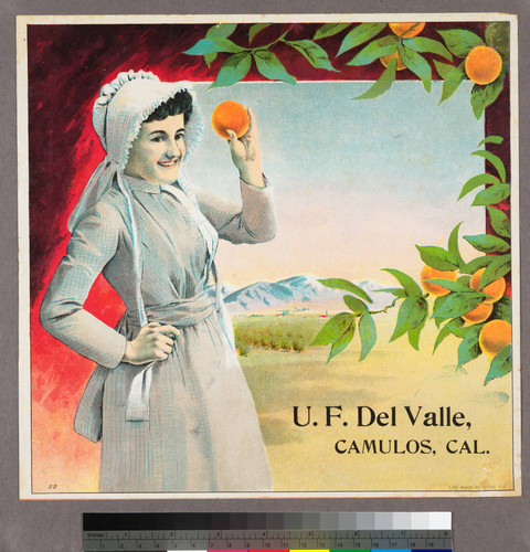 Stock label: woman in bonnet holding oranges