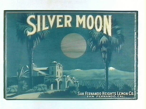 Silver Moon