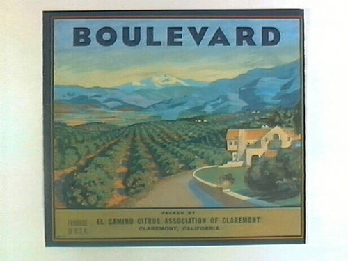 Boulevard