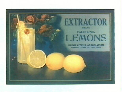 Extractor Brand