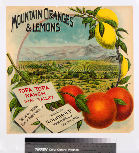 Mountain Oranges & Lemons