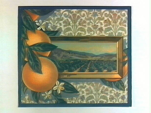 Stock label: oranges with framed picture of orchard and mountains on paisley wall