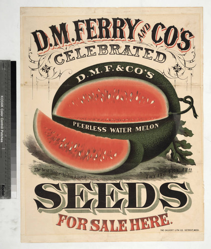 D. M. Ferry and Co's celebrated seeds for sale here