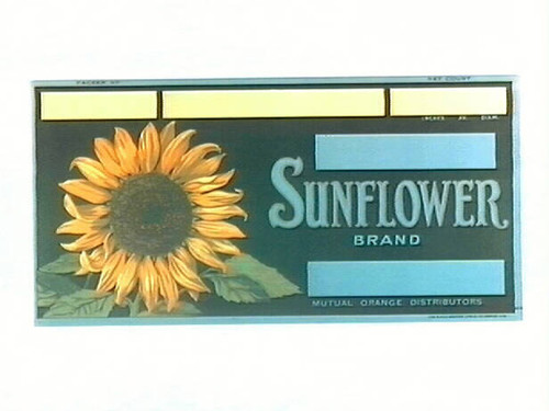 Sunflower Brand