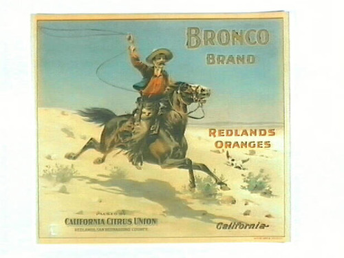 Bronco Brand